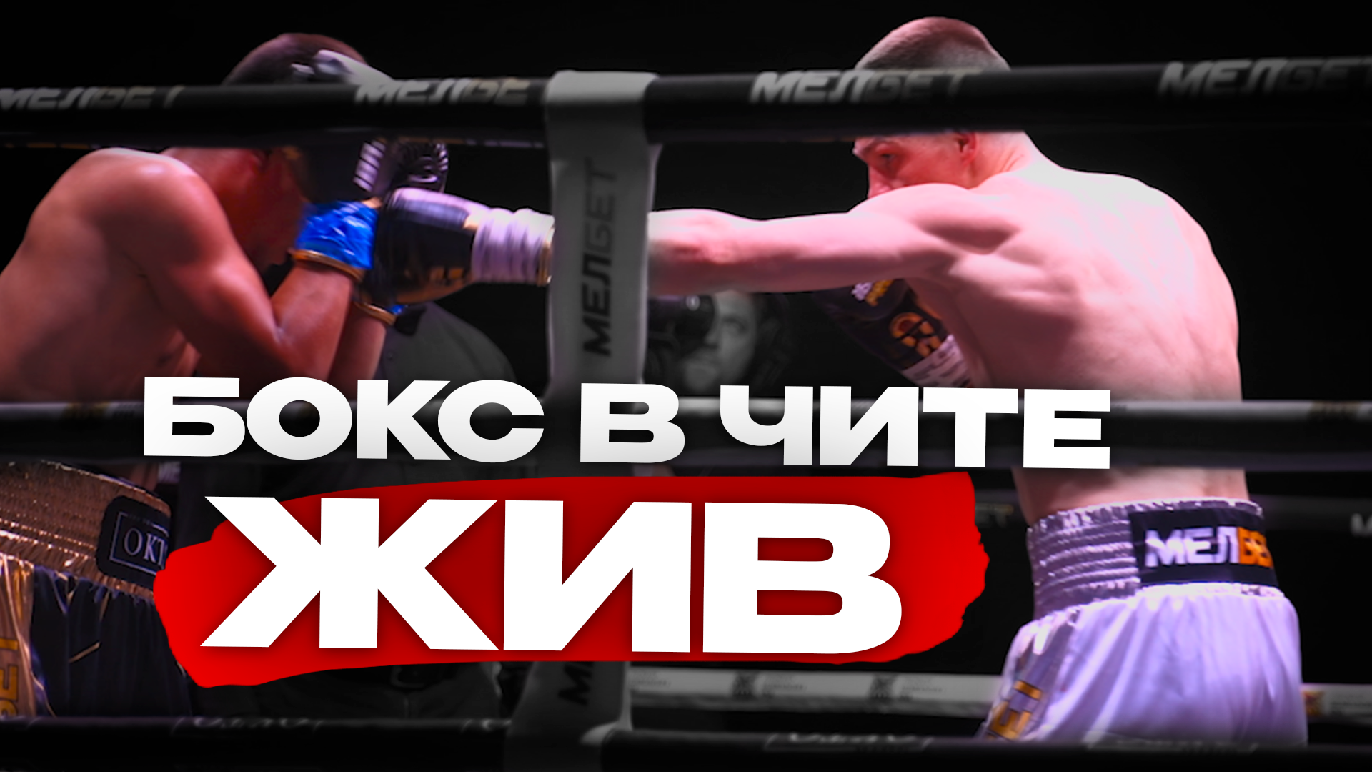 Вечер бокса прошел в Чите Preview