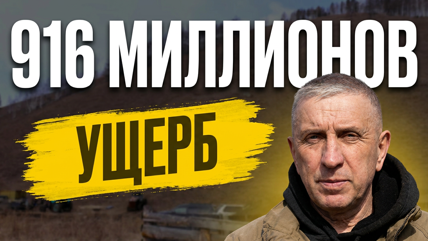 49 лет аренды и ноль проверок. Расследование на Бычьем Лугу Preview