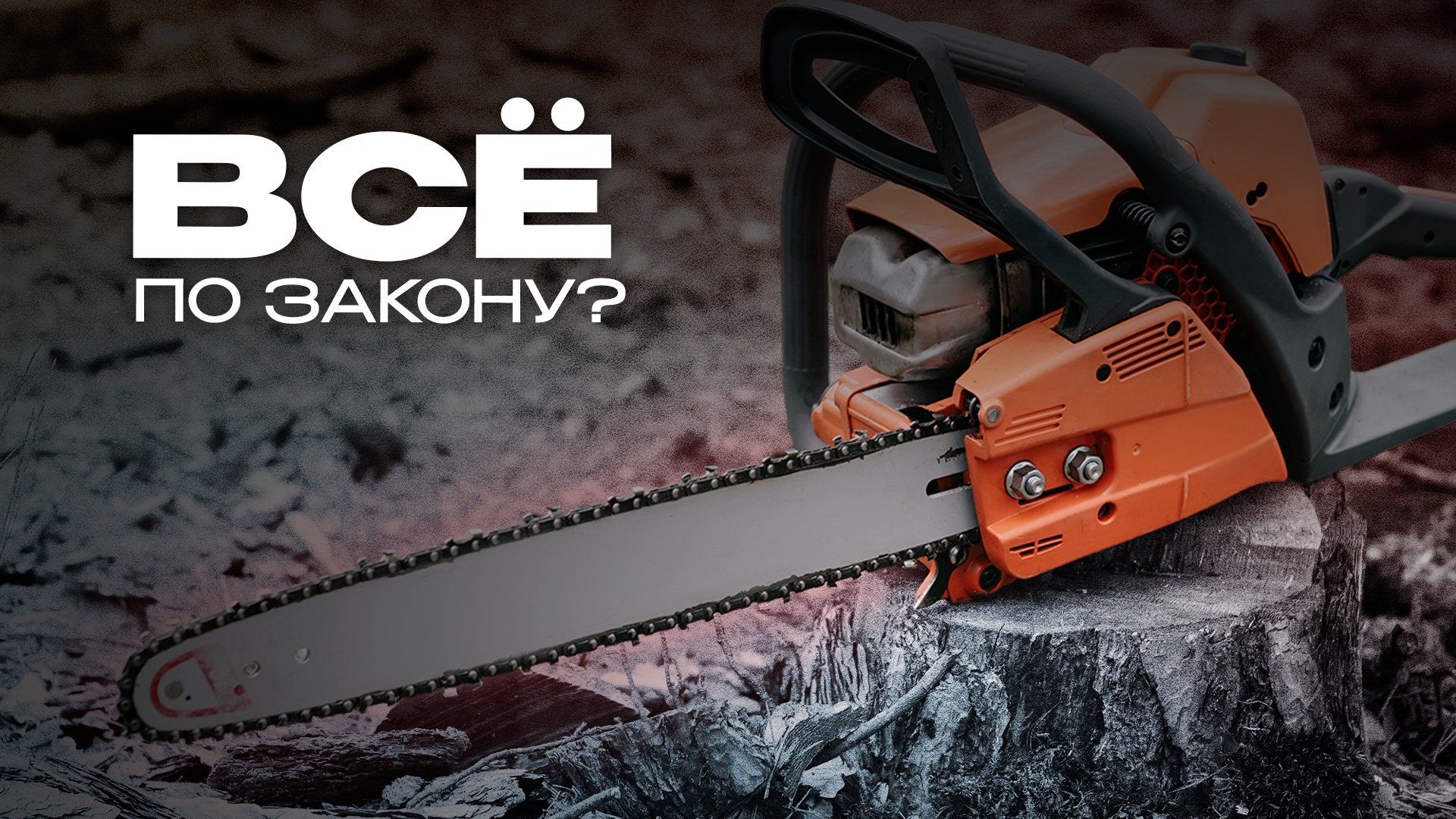 Как используют Дальневосточный гектар?