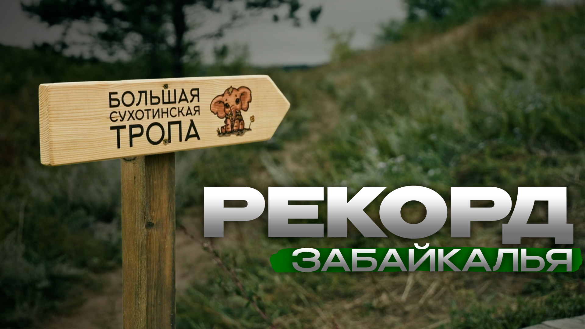 10 тысяч человек на одной тропе: в регионе готовятся к историческому рекорду