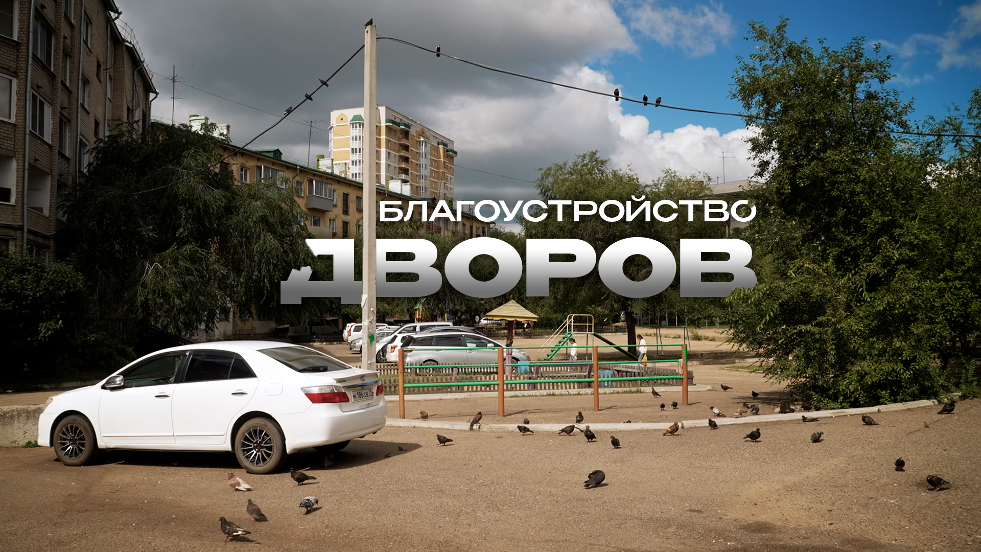 Дворников и администрацию Читы научат работать с ландшафтом