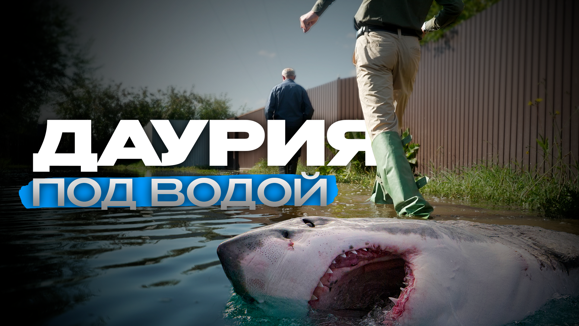 ДНТ Даурия уходит под воду